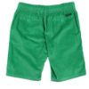 Image de Bermuda velours côtelé élastiqué 2 XL VERT MOUSSE