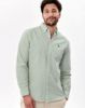 Image de Chemise regular fit Oxford fines rayures 4 XL KAKI