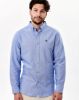 Image de Chemise regular fit Oxford unie 2 XL MARINE