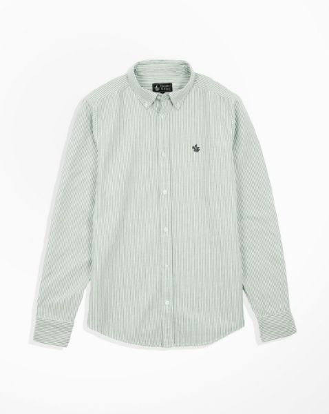 Image de Chemise regular fit Oxford fines rayures XL KAKI