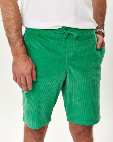 Image de Bermuda velours côtelé élastiqué XL VERT MOUSSE