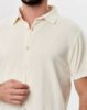 Image de Polo chemise boutonné velours éponge 4 XL CREME