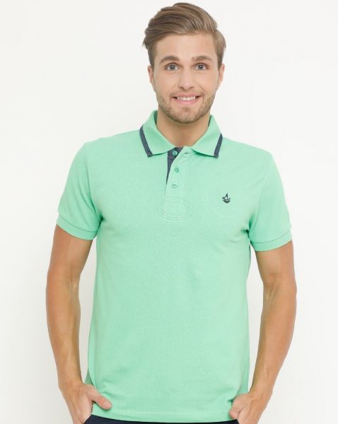 Image de Polo uni coton piqué 4 XL PISTACHE