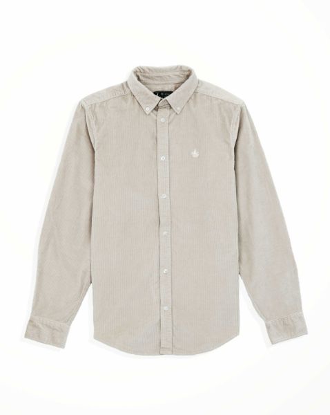 Image de Chemises velours côtélé unité 3 XL MASTIC
